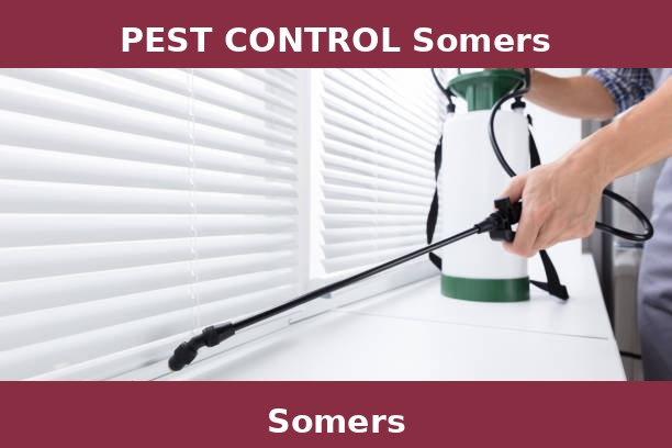 PEST CONTROL Somers